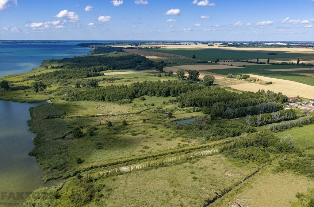 Działka Sprzedaż Wierzbno