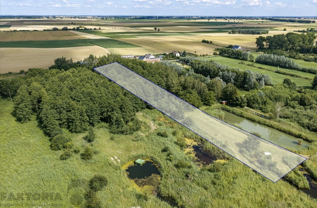 Działka Sprzedaż Wierzbno