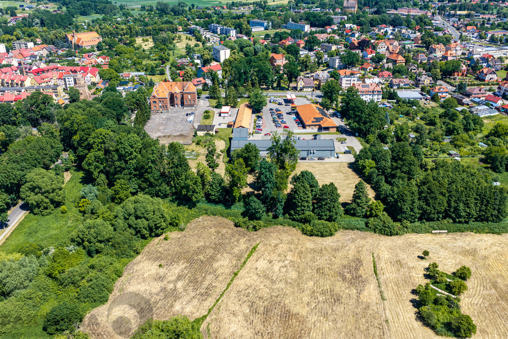 Działka Sprzedaż Chojna
