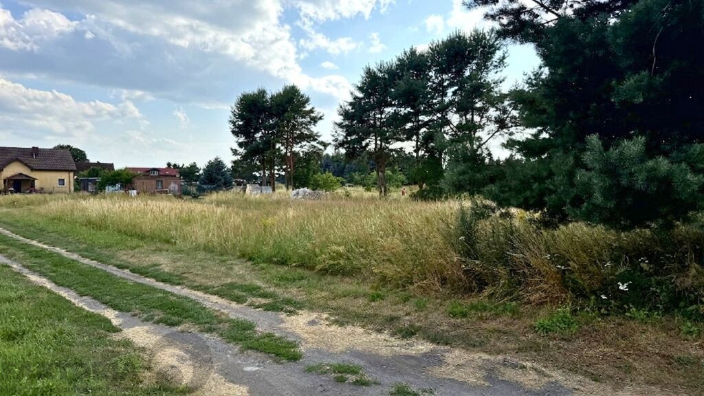Działka Sprzedaż Modrzewie