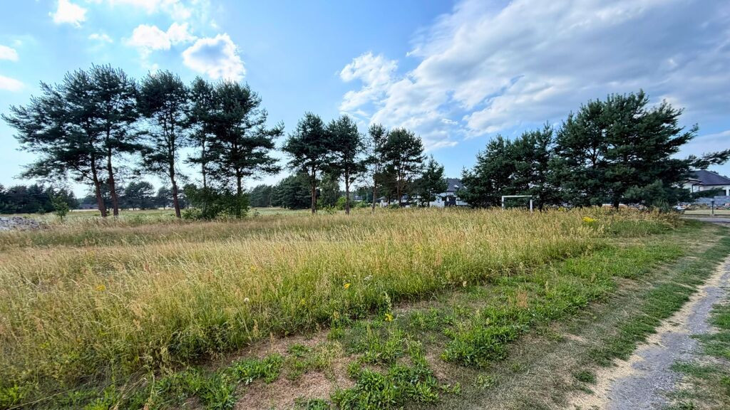 Działka Sprzedaż Modrzewie