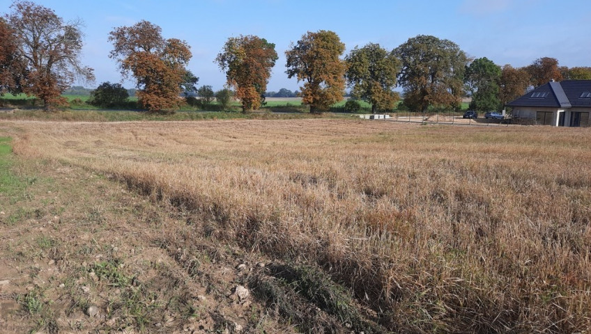 Działka Sprzedaż Kurów
