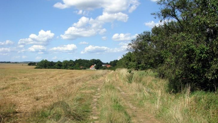 Działka Sprzedaż Barnisław