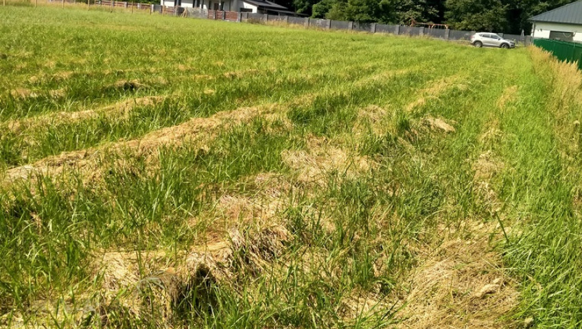Działka Sprzedaż Grzepnica