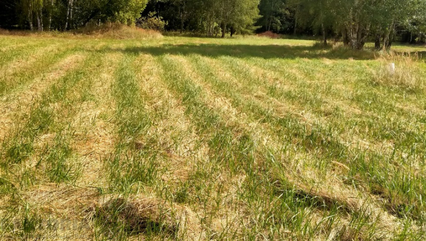 Działka Sprzedaż Grzepnica