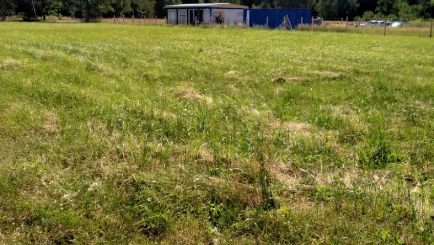 Działka Sprzedaż Grzepnica