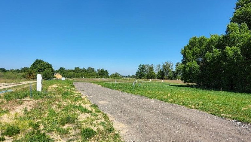 Działka Sprzedaż Buk