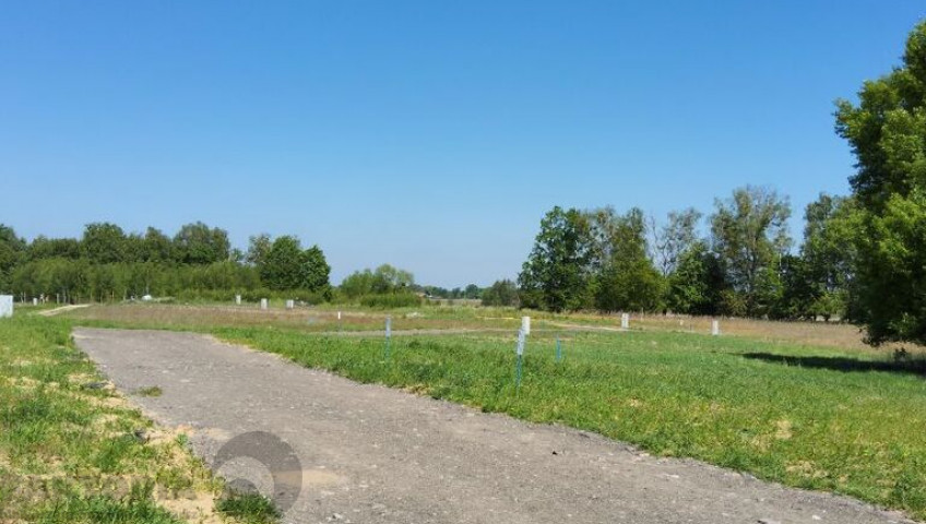 Działka Sprzedaż Buk