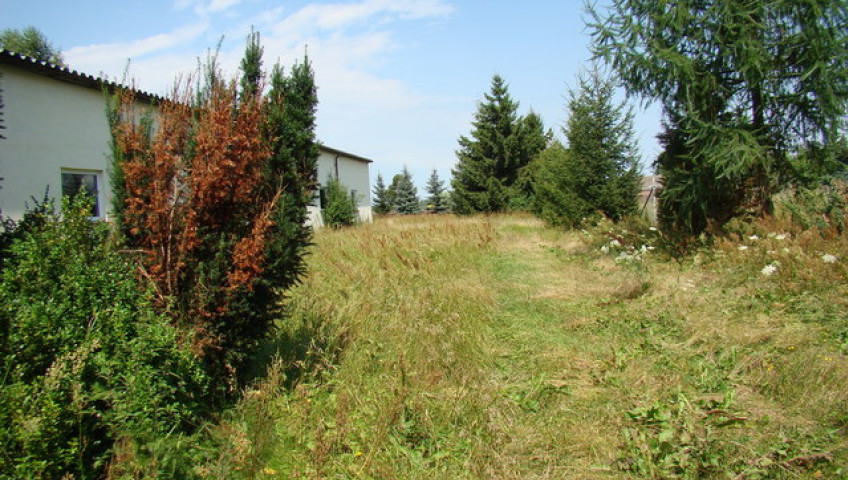 Działka Sprzedaż Kobylanka