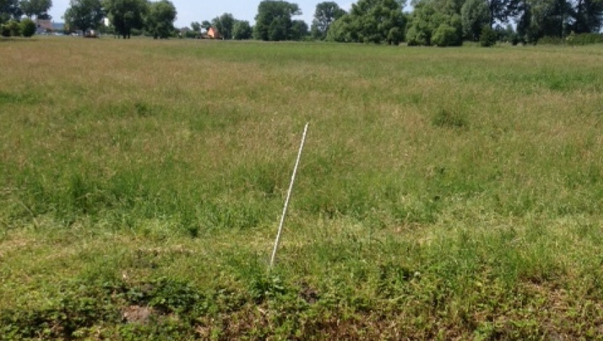 Działka Sprzedaż Lubczyna Kasztanowa