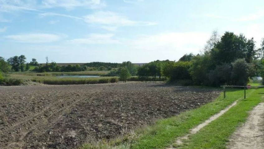 Działka Sprzedaż Zieleniewo