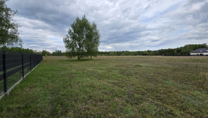 Działka Sprzedaż Grzepnica