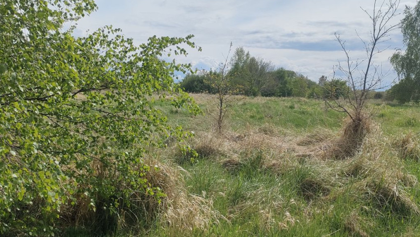 Działka Sprzedaż Lędzin