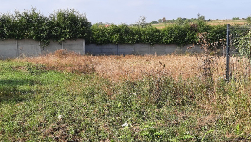 Działka Sprzedaż Kurów Na Klifie