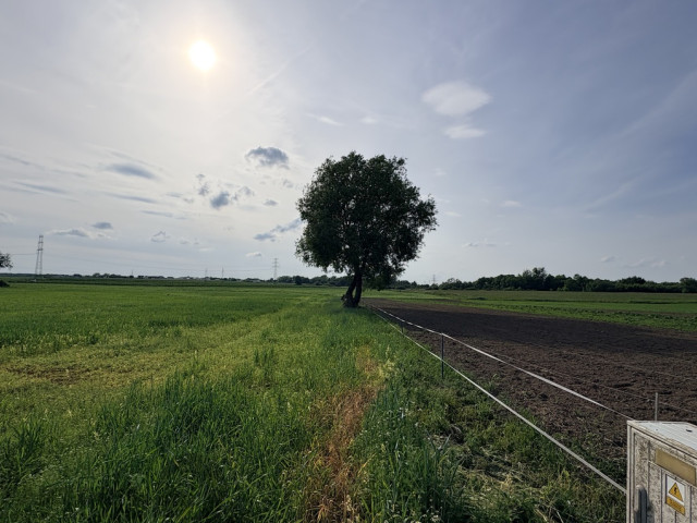 Działka Sprzedaż Przęsocin