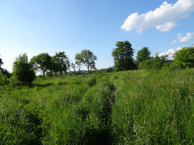 Binowo działka blisko jeziora, 1962 m2, MPZP