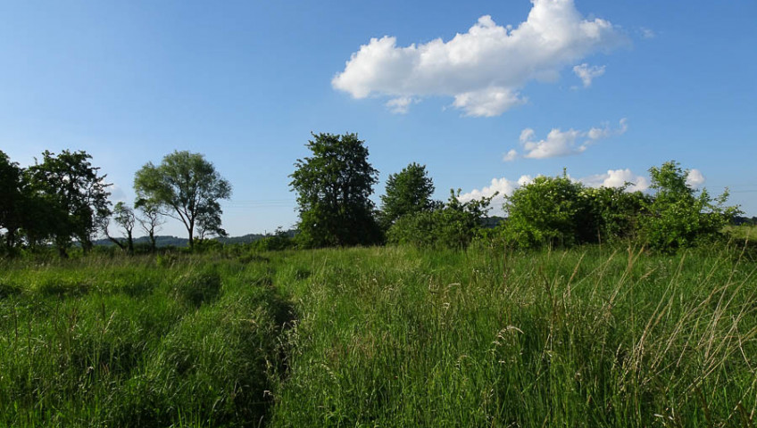 Działka Sprzedaż Binowo