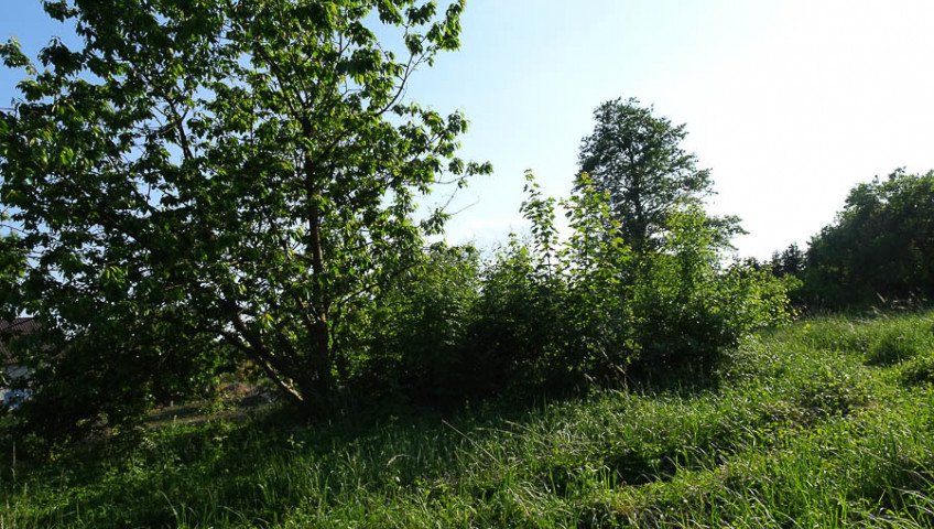 Działka Sprzedaż Binowo