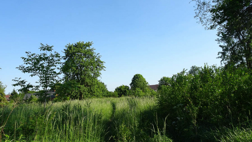 Działka Sprzedaż Binowo