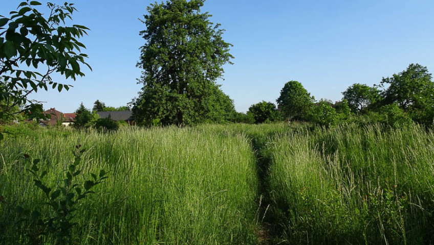 Działka Sprzedaż Binowo