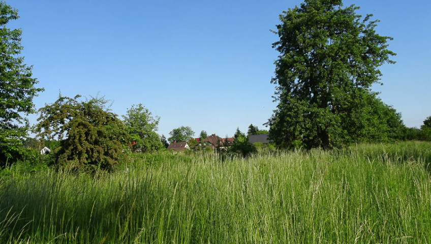 Działka Sprzedaż Binowo