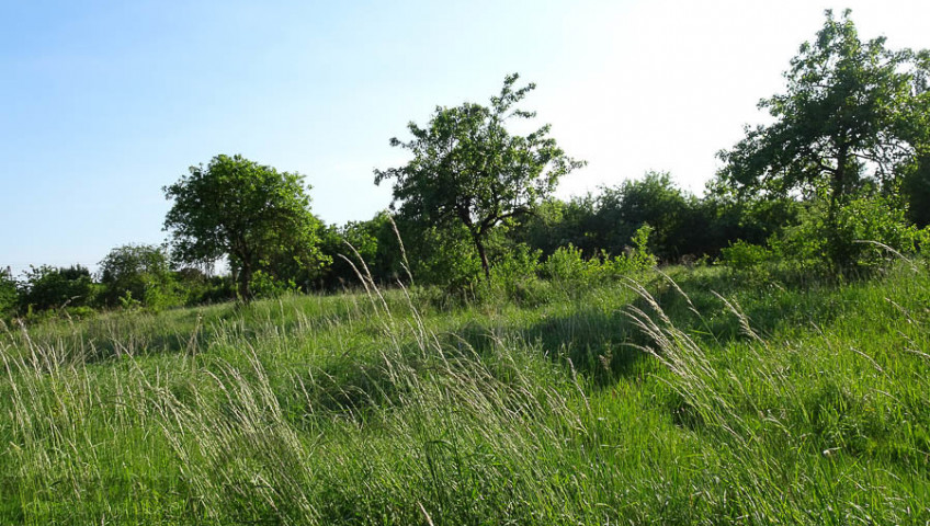Działka Sprzedaż Binowo