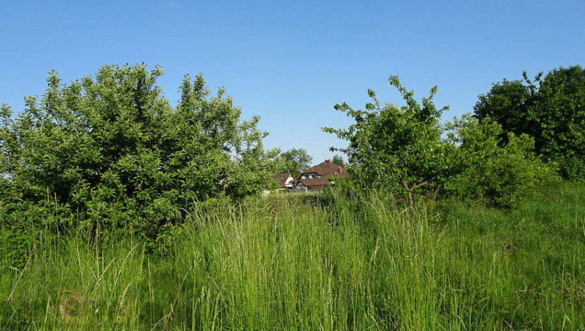 Działka Sprzedaż Binowo