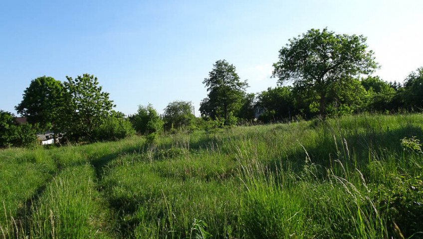 Działka Sprzedaż Binowo