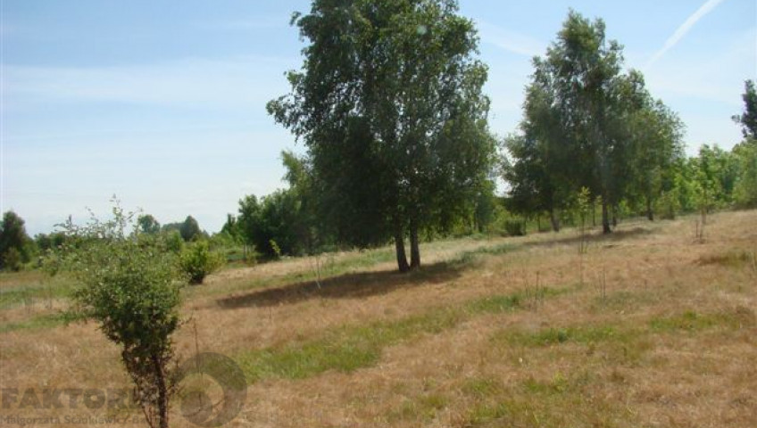 Działka Sprzedaż Stargard