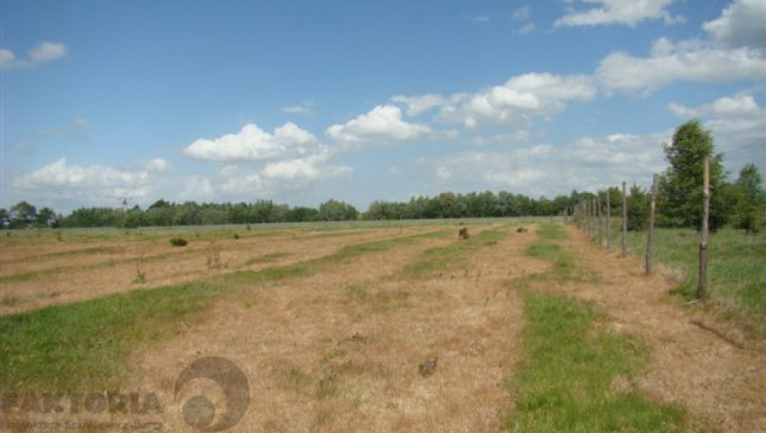 Działka Sprzedaż Stargard