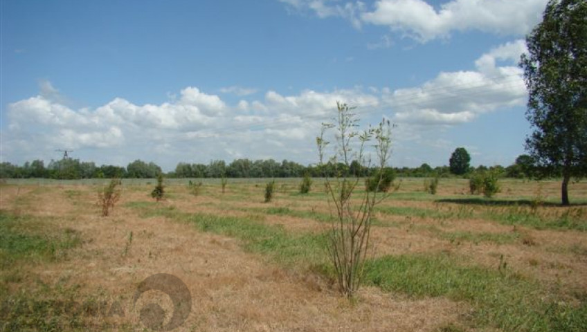 Działka Sprzedaż Stargard