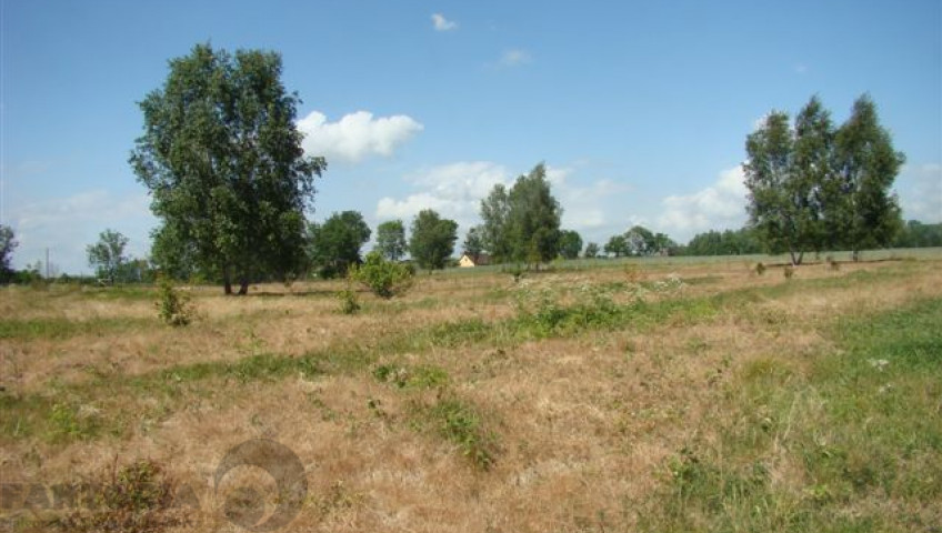 Działka Sprzedaż Stargard