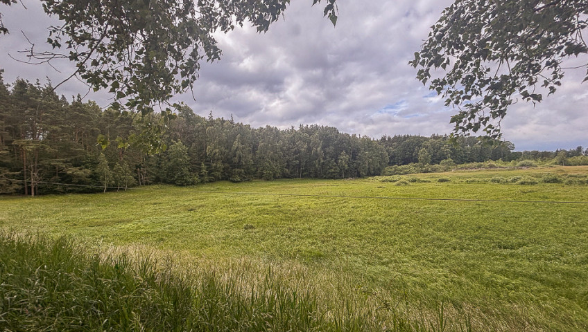 Działka Sprzedaż Piaseczno