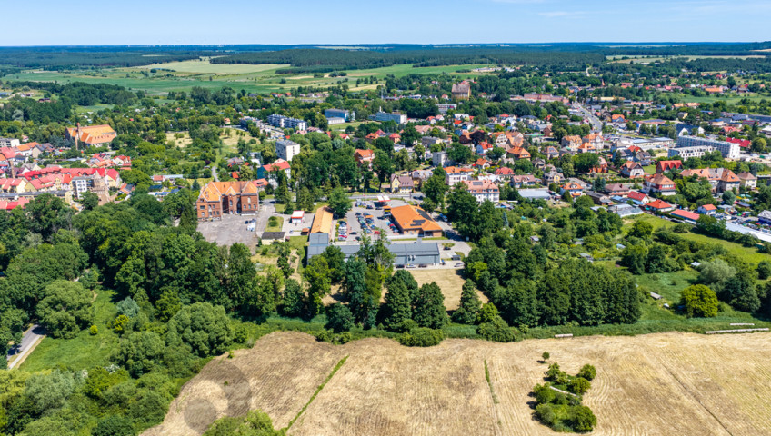 Działka Sprzedaż Chojna