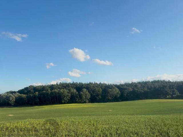 Działka Sprzedaż Buk