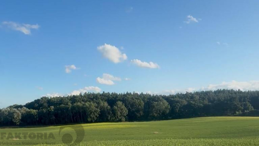 Działka Sprzedaż Buk