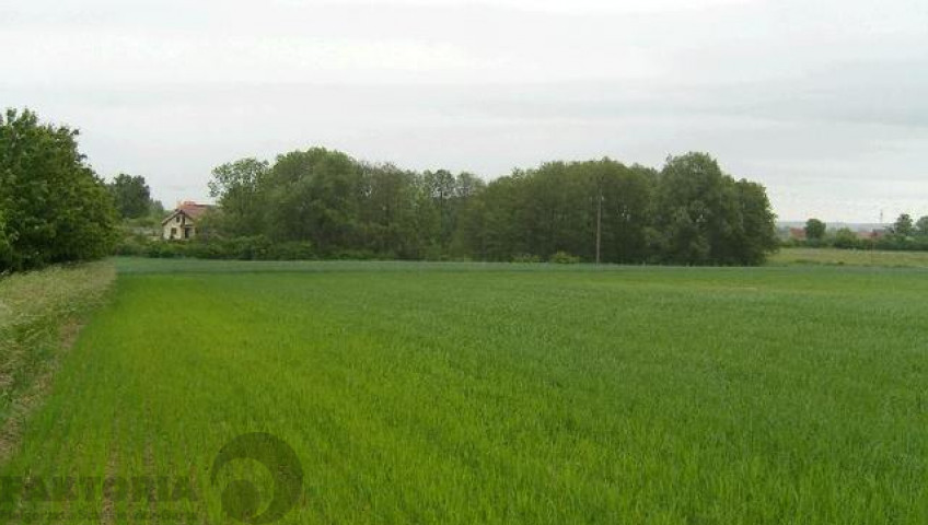 Działka Sprzedaż Siadło Górne