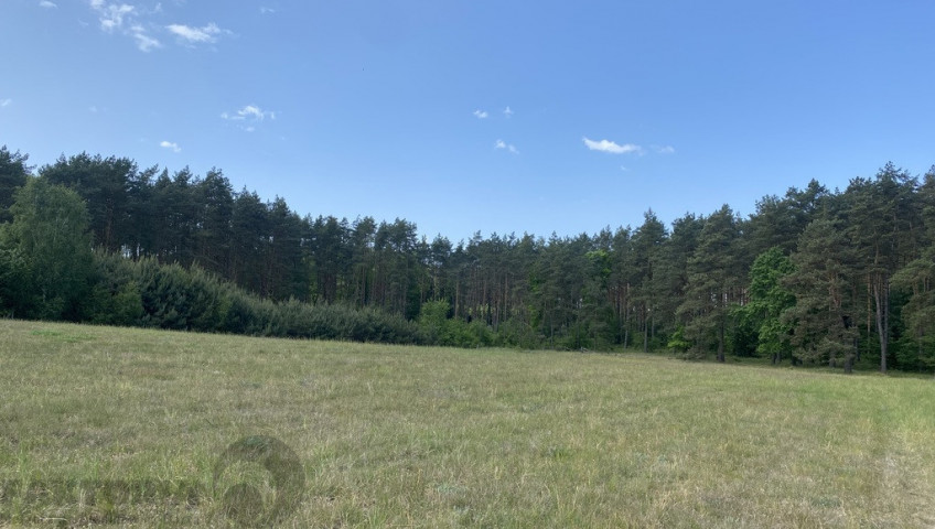 Działka Sprzedaż Przybiernów