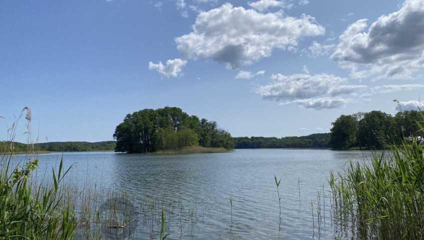 Działka Sprzedaż Przybiernów
