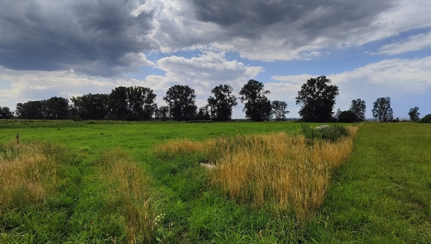 Działka Sprzedaż Rurzyca