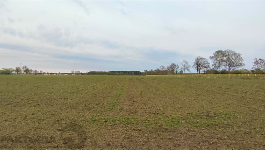 Działka Sprzedaż Lubczyna